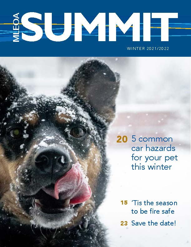 Summit Magazine header with image of dog